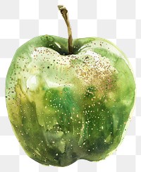 PNG Bold green apple watercolor painting fruit.