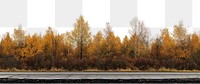 PNG Real asphalt road autumn trees landscape.