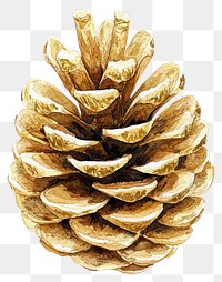 PNG Christmas chubby pine cone watercolor gold illustration.