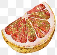 PNG Grapefruit watercolor food illustration.