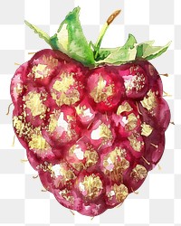 PNG Raspberry watercolor fruit gold.