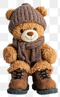 PNG Teddy Bear clothing winter teddy.