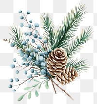 PNG Watercolor winter wreath illustration branches green.