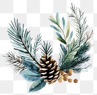 PNG Wreath with Pine and Spruce Branches art illustration watercolor.