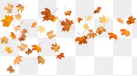 PNG Falling flying dry autumn leaves backgrounds maple plant.