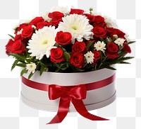 PNG Flower plant white gift. 