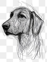 PNG Hand drawn of dog drawing art sketch.