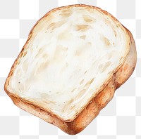 PNG White bread loaf slice illustration watercolor realistic.