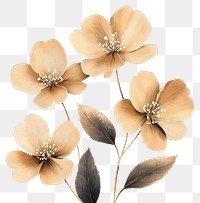 PNG Buttercup blossoms art illustration background.