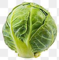 PNG Brussels sprout vegetable produce cabbage.