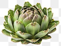 PNG Artichokes artichoke vegetable produce.