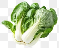 PNG Bok choy vegetable fresh food.