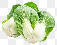 PNG Bok choy vegetable produce fresh.