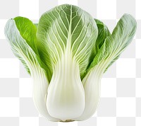 PNG Bok choies vegetable produce fresh.