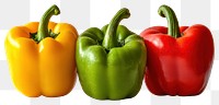 PNG Colorful Bell peppers vegetables produce fresh.