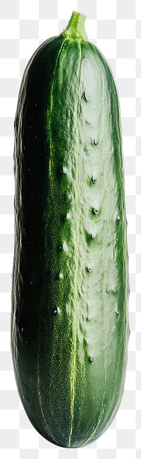 PNG Long Cucumber vegetable cucumber photography.