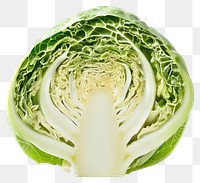 PNG Cabbage vegetable cabbage cross-section.