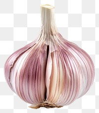 PNG A single Garlic Clove garlic background vegetable.