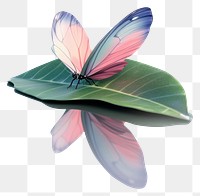 PNG A butterfly with pink and blue wings leaf reflection photography.