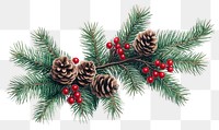 PNG Christmas tree branch pine berries red.