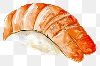 PNG An isolated scallop nigiri food illustration watercolor.