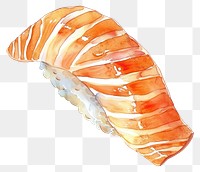 PNG An isolated salmon nigiri food illustration watercolor.