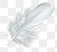 PNG Floating white feather background gray gray background.