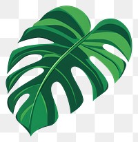 PNG Green leaf illustration art botanical.