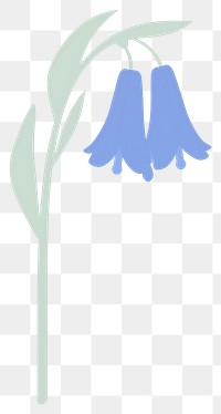 PNG California bluebell flower illustration simple plant.