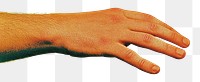 PNG Hand background human white.