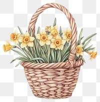 PNG Easter basket daffodils flowers illustration.