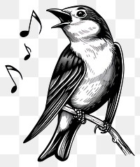 PNG Black and white bird sing song art illustration vintage.