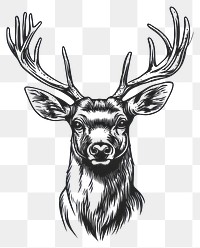 PNG Deer art illustration wildlife.