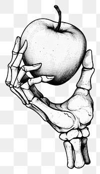 PNG Hand bone holding an biten apple art illustration drawing.