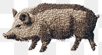 PNG A boar in embroidery style animal fabric needlework.