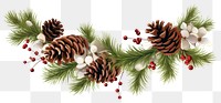 PNG Pine arrangement decoration pinecone.