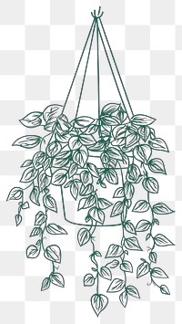 PNG Hanging plants art illustration green.