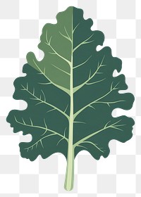 PNG Kale leaf illustration design.