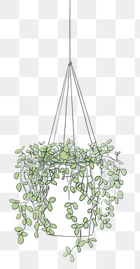 PNG Illustration hanging plant line.