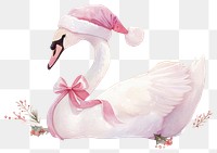 PNG Coquette christmas swan illustration watercolor background.