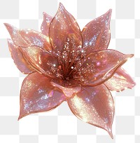 PNG Sparkle flower petals illustration accessories.