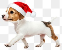 PNG Happy dog wearing santa hat puppy pet christmas.