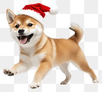 PNG Happy dog wearing santa hat puppy white shiba.