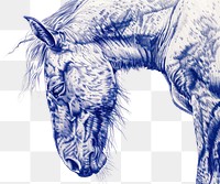 PNG Vintage drawing horse sketch animal blue.