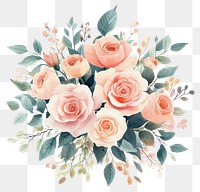 PNG Pink rose flower watercolor floral bouquet flowers illustration pastel.