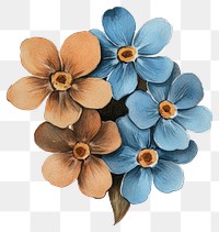 PNG Aesthetic Forget-Me-Nots flower flowers nature art.