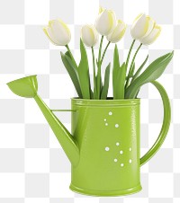 PNG Cute watering can with tulips vibrant flowers white.