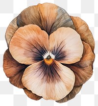 PNG Aesthetic Magic Viola flower painting pansy art.