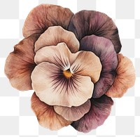 PNG Aesthetic Magic Viola flower petals art illustration.