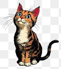 PNG Cat illustration illustrated art.